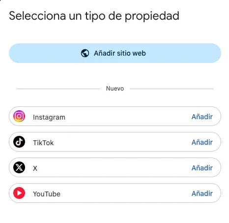 Selector de tipo de propiedad en Search Console con las opciones Instagram, TikTok, X y YouTube